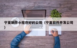 射洪宁夏制作小程序好的公司（宁夏软件开发公司）